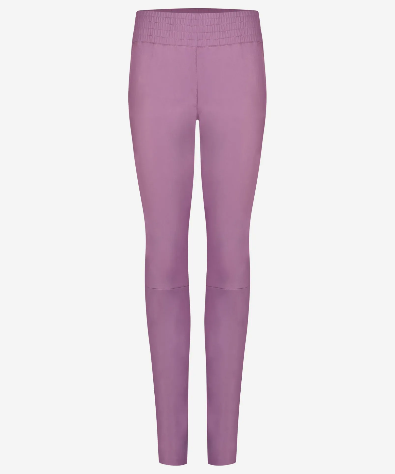 Colette Wild Rose