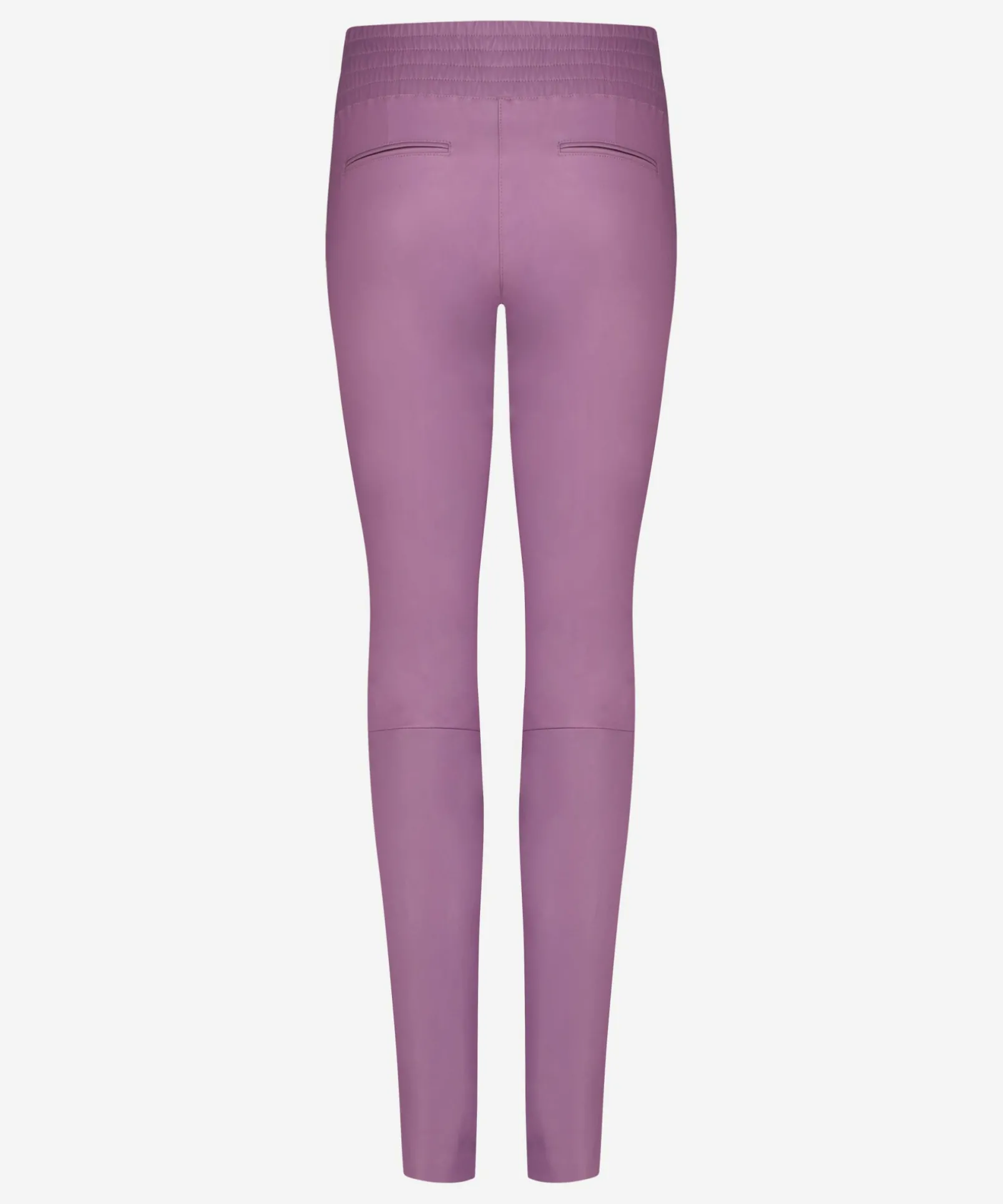 Colette Wild Rose