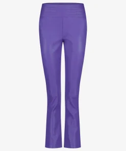 Phien Violet